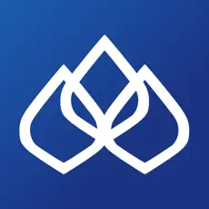 PVD CONNEXT