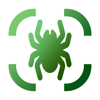 Spider Identifier - AI Scanner - Chris Wakefield
