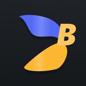 Blaaiz Business