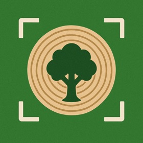 TreeBarkID: Tree Identifier