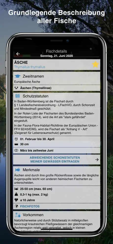 Fischführer Baden-Württemberg