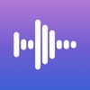 Notifly: Schiphol air traffic icon
