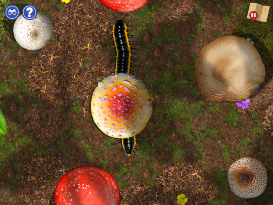 Bug Mazing iPad screenshot 8 - Education app