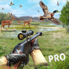 Duck Hunting Pro: Fps Shooting - MINOR BUGS
