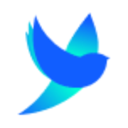 CHITI - DELIVERY, TAXI, ADS