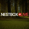 Nest Box Live icon