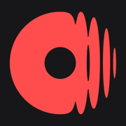 Dubnote: record music ideas