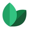 TreeMarket icon