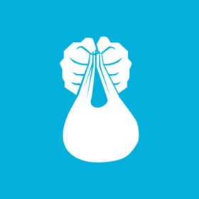 Bagging Basics Enterprise