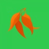 Macquarie School Dictionary icon