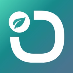 Geodata Report