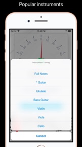 Tuner screenshot