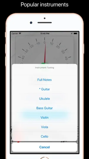 Tuner screenshot 3