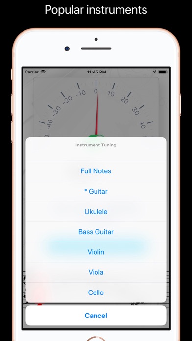 Screenshot #3 pour Tuner