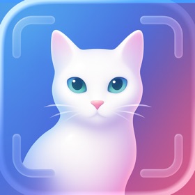 Cat Breed Identifier & Guide