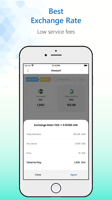 PaySii Screenshot