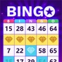 Bingo Clash: Win Real Cash app download