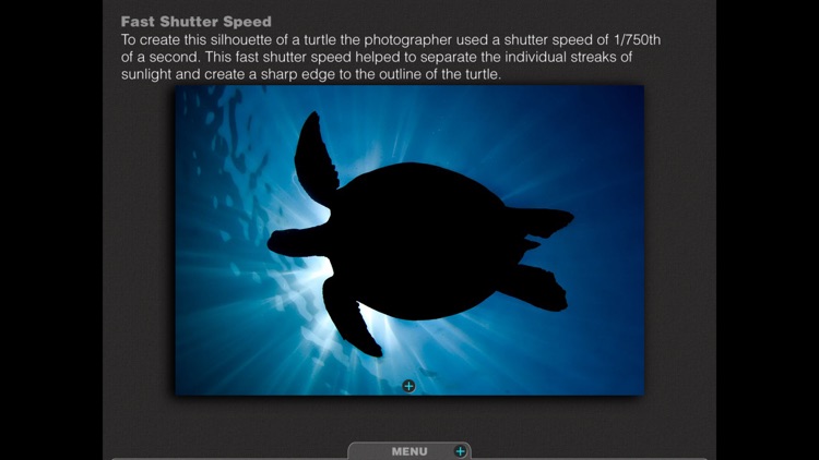 Silhouettes Underwater screenshot-4