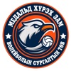 Volleyball Surgalt icon