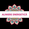 Aliniere Energetica icon