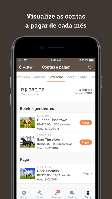 Agrobatida screenshot