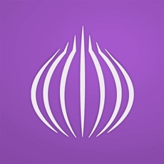 TOR Browser: OrNET Onion + VPN