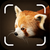 Animal identifier º icon
