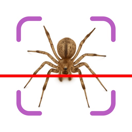 Bug Identifier & ID Insect