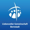 Liebenzeller Gem. Bernstadt icon