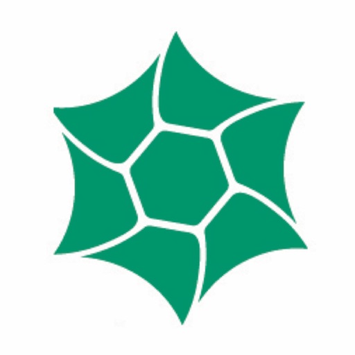 Mes Marais du Vigueirat