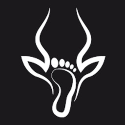 Dangelo: Run Training Plans