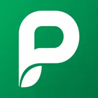 PflegeProfi
