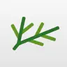 Blazej Stanek top app icon