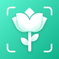 AI Plant Identifier·Care Guide
