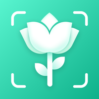 AI Plant Identifier·Care Guide