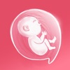 Pregnancy: Baby Growth Tracker icon
