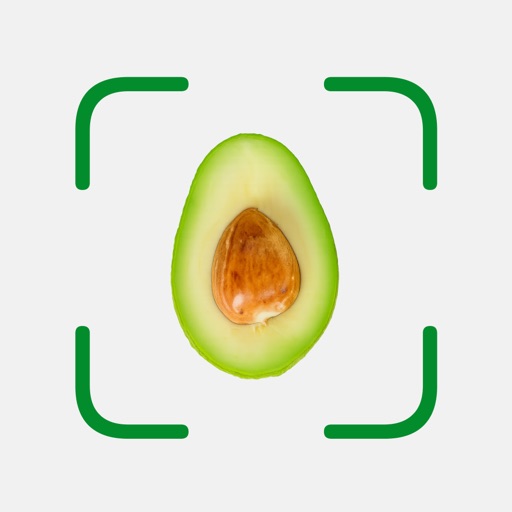 Vegetable Identifier: AI Scan