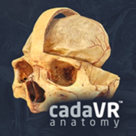Screenshots (4) cadaVR anatomy