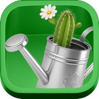 Зелёный полив