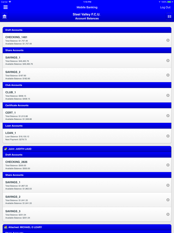 Steel Valley FCU iPad screenshot