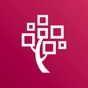 Together by FamilySearch app download