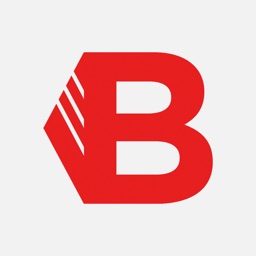 Bricodis