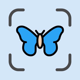 Bug Identifier: Butterfly ID
