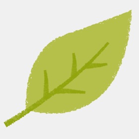 Houston Christian School