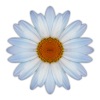 TASBillerCloud Daisy icon