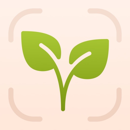 Plant Identifier Home Garden