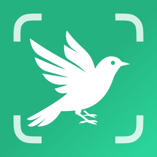BirdScope: Bird Identifier