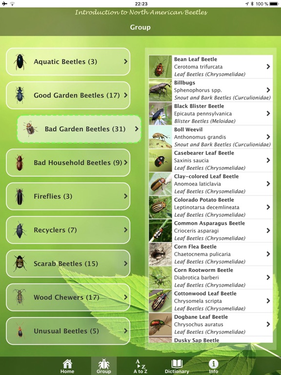 Screenshot #4 pour North American Beetles
