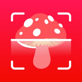 螢幕擷取畫面 (3) Mushroom ID - Identification