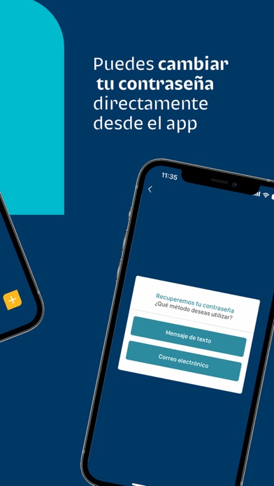 Bi en Línea PAN Screenshot